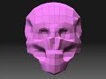 MY 3D human skull