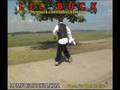 Lil Buck Memphis Jookin to Soulja Boy " BIRDWALK"  http://www.memphisjookin.com