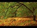 Trinithos - Nordwind