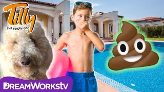 Poop Ruins The Pool Party  TILLY THE TRICKY DOG