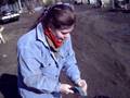 videos de Brossage de chien 2