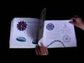 Guarda video