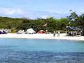 Puerto Rico : Vieques - La Liberacion