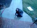 videos de Completely Normal.