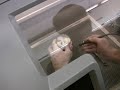 3D Printer - ZCorp Z450 Depowdering - Part 2