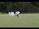 Search Video