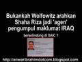 Siapa Anwar (Siri 8)