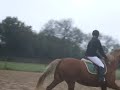 Oxer Kidjy Oxer Kidjy