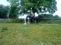 MOV00475.MP4