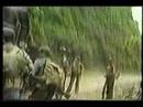 FMLN - EL SALVADOR - GUERRILLA EN MORAZAN