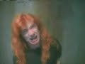 megadeth sweating bullets
