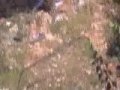 Israeli shooting: Beit Ummar Palestine Summer 2002