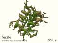 videos de 81: Calcium Ion Binding Protein