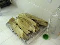 Solar Cooking Sun Corn part II Solar Cooking Sun Corn part II