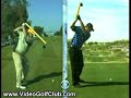 Comparison of Daly and Holmes Swings