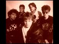 Snake Corps - This Is A Seagull (Audio)