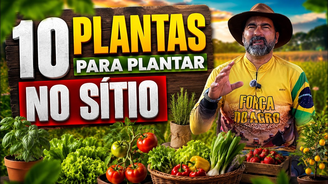 10 plantas para plantar no sítio.
