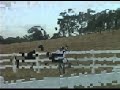 Matisse Inspection Video