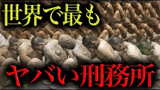 動画1