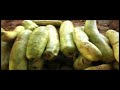 Manam Thirumbungal
