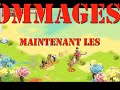 \"Dofus\" Vlcw le retour II
