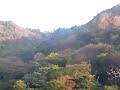 初飛び動画　ユカコちゃん　荒神　20091108