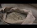 Portland Roasting Coffee on KEX 1190