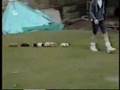 Funny Animals