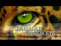 Claas Jaguar Green Eye