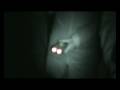 SSPIA Edinburgh Dungeon Halloween Investigation