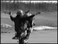 Aerox_jonne Nohanded wheelie