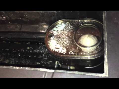 how to adjust protein skimmer