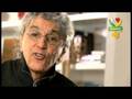 Caetano Veloso: Amanhã