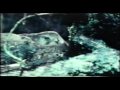 Want het is zomer - Andre van Duin