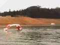 Wakekite Team Video 09'