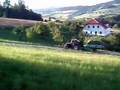 Harvest of grass - Sarleinsbach - Austria 2007