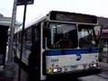 NYCTA/MTA Bus : Orion V CNG 9879 On The Q25 & 9969 On The Q65 & Orion VII Hybrid 6431 On The Q27