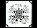 Guapo - Jeweled Turtle