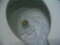 Rubber Ducky\