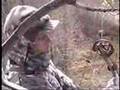 bear hunt Philbrick