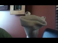 Click here to watch this video Bo's puppet