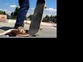 c stone steeze