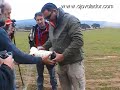 Test paracaidas Cylindricone