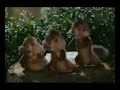 Click here to watch this video alvin e os esquilos rebolation parangolé2