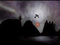 See Video