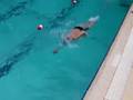 videos de AWGP6.MP4