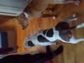 videos de 20081123128.mp4