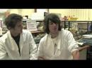 UEA Student Video Diary - Chris and Paul UEA Student Video Diary - Chris and Paul