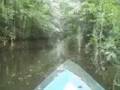 Fantastic Reality: Aquarius Revisited - Mueritz Nationalpark