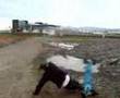 Mountainboard Crash